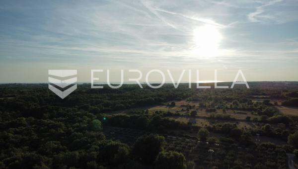 Istria, Vodnjan, combinación de terreno edificable y agrícola con bosque, una rareza