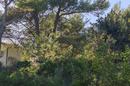 Vir, Pedinka building plot 657 m² - 2