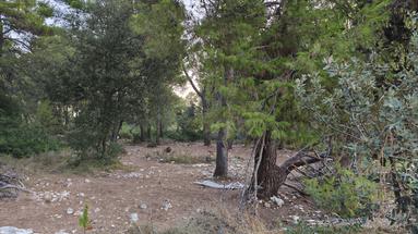 Vir, Pedinka parcela edificable 657 m²