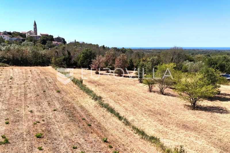 Ístria, Visnjan - Terreno para construção de 960 m² para uma moradia com vista para o mar - 5