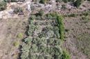 Poličnik, Lovinac, building land by the road, 1,806 m² - 3