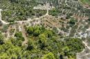 Insel Korčula, Vela Luka, landwirtschaftliches Grundstück 980 m² - 7