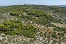 Insel Korčula, Vela Luka, landwirtschaftliches Grundstück 980 m² - 5