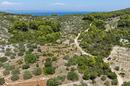 Insel Korčula, Vela Luka, landwirtschaftliches Grundstück 980 m² - 3