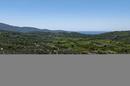Insel Korčula, Vela Luka, landwirtschaftliches Grundstück 980 m² - 9