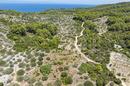 Insel Korčula, Vela Luka, landwirtschaftliches Grundstück 980 m² - 4