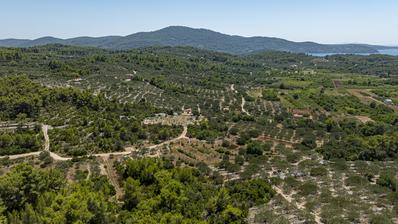 Ostrov Korčula, Vela Luka, zemědělská půda 980 m²