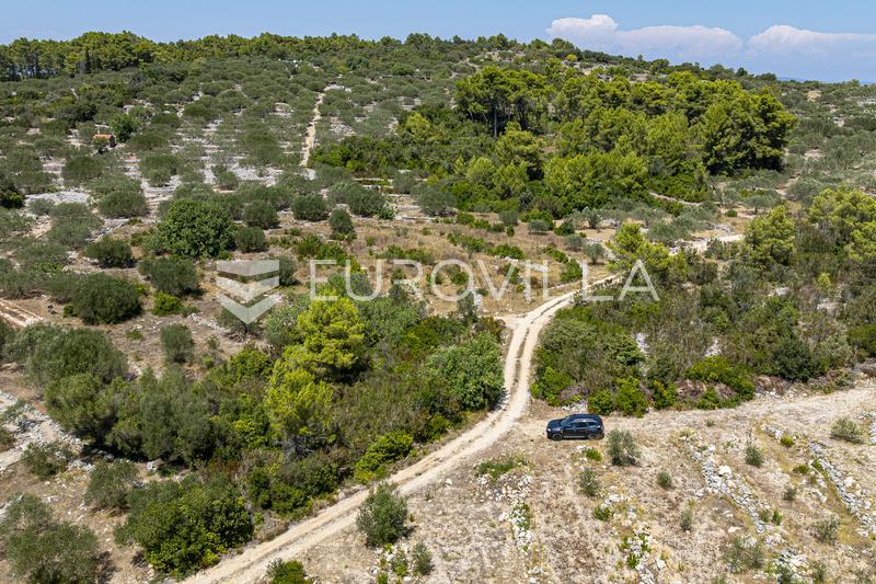 Insel Korčula, Vela Luka, landwirtschaftliches Grundstück 980 m² - 2