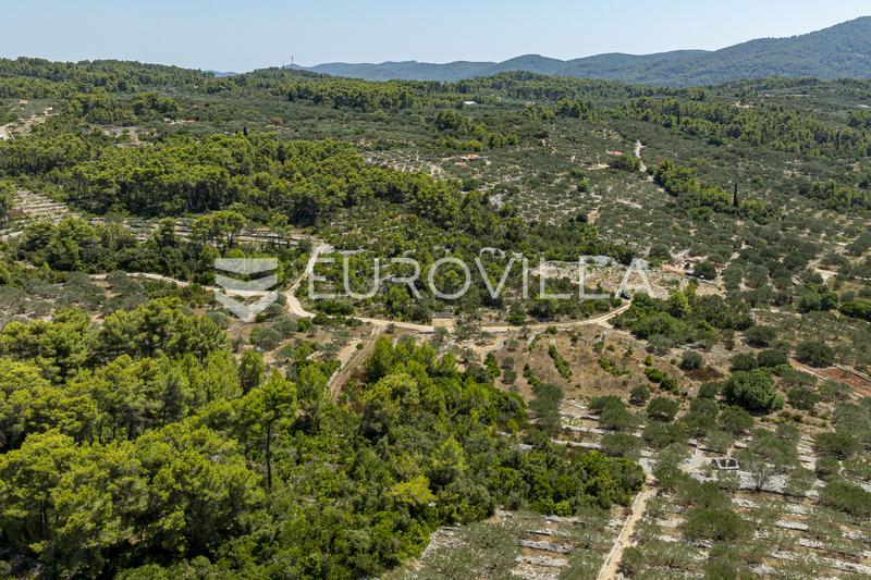Insel Korčula, Vela Luka, landwirtschaftliches Grundstück 980 m² - 6