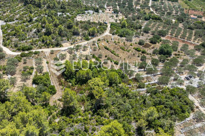 Insel Korčula, Vela Luka, landwirtschaftliches Grundstück 980 m² - 7