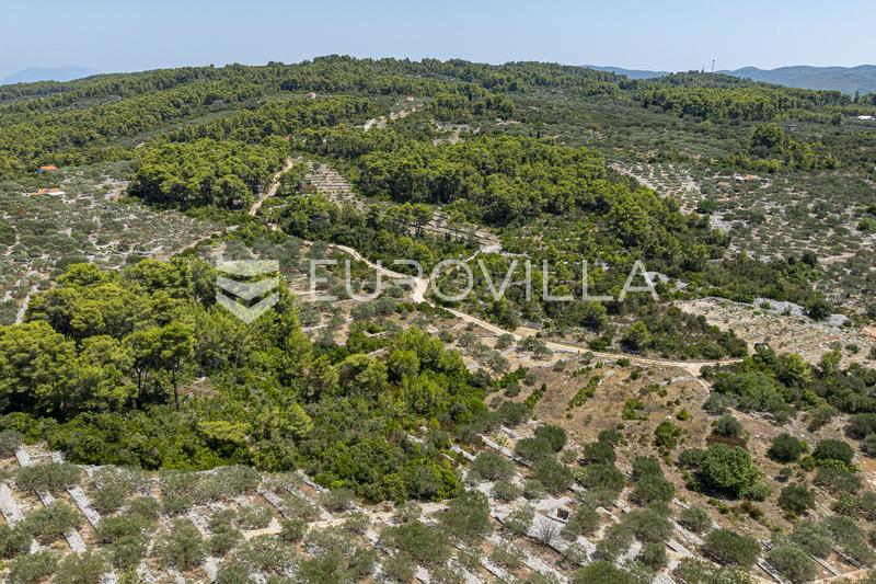 Insel Korčula, Vela Luka, landwirtschaftliches Grundstück 980 m² - 5