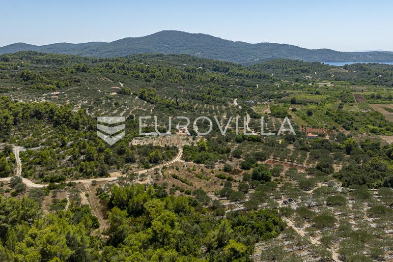 Insel Korčula, Vela Luka, landwirtschaftliches Grundstück 980 m² - 1
