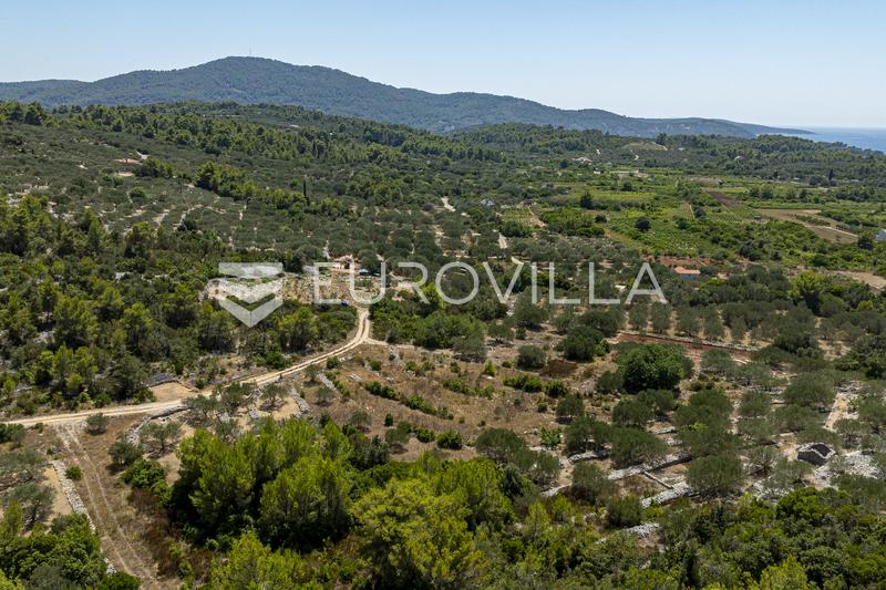 Insel Korčula, Vela Luka, landwirtschaftliches Grundstück 980 m² - 8