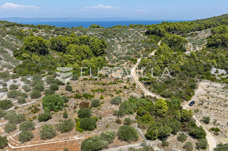 Insel Korčula, Vela Luka, landwirtschaftliches Grundstück 980 m² - 3