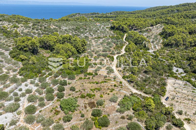 Insel Korčula, Vela Luka, landwirtschaftliches Grundstück 980 m² - 4