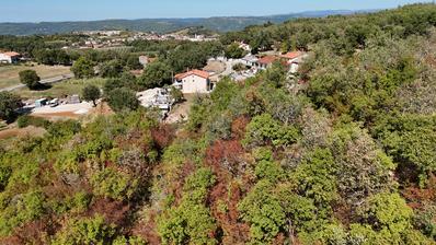 Istra, Vižinada, atraktivno građevinsko zemljište 1.102 m² na mirnoj lokaciji