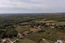 Istra, Višnjan, prekrasna kamena vila s bazenom u mirnom prirodnom okruženju - 53