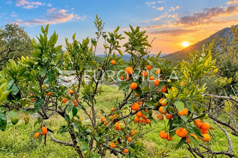 Zaostrog, ház egy 1226 m²-es telken tengerre néző kilátással és további építési lehetőséggel - 16
