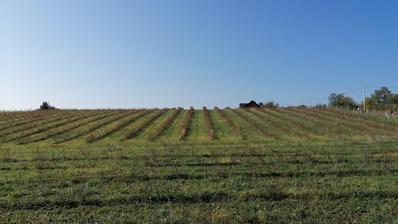 Vrhovina, posjed površine 6 ha, ODLIČNA INVESTICIJA