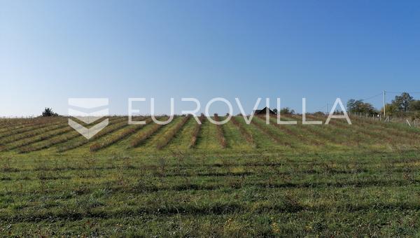 Vrhovina, propiedad de 6 ha, EXCELENTE INVERSIÓN
