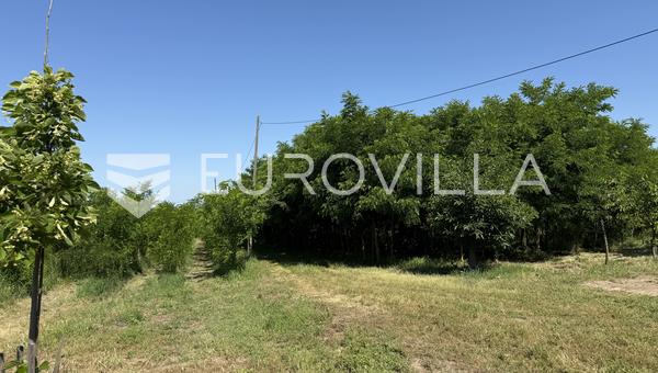 Osijek, Bilje'de satılık imarlı arsa, 25.000 m² alan
