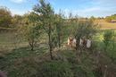 Duga Resa, Dvorjanci, hiša 200 m², mirna lokacija - 14