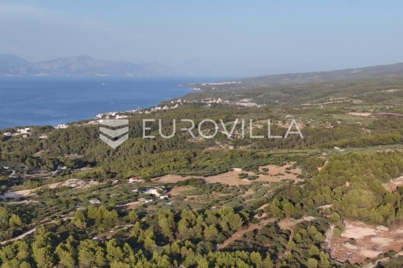Sutivan, Brač Island, 25,800 m² agricultural land with sea views - 4