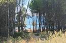 Vir, Pedinka building plot 657 m² - 1