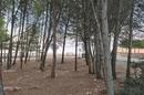 Vir, Pedinka building plot 657 m² - 3