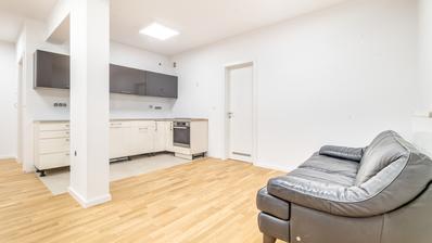 Záhřeb, Maksimir, nově zrekonstruovaný třípokojový byt 87m2