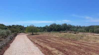 Istra, Brtonigla, Građevinsko zemljište 656 m², idealno za luksuznu vilu s bazenom
