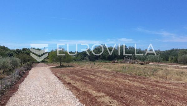 Ístria, Brtonigla - Terreno edificável de 656 m², ideal para uma villa de luxo com piscina.