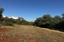 Istra, Grožnjan Area - Building Plot of 809 m² in a Peaceful Green Setting - 4