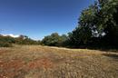 Istra, Grožnjan Area - Building Plot of 809 m² in a Peaceful Green Setting - 1