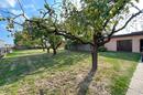 Donji Miholjac, Rakitovica - Spacious Family House with Large Garden - 3