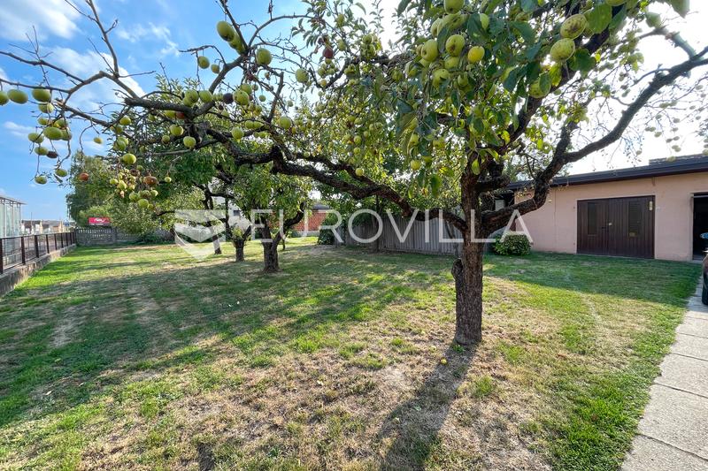 Donji Miholjac, Rakitovica - Spacious Family House with Large Garden - 3