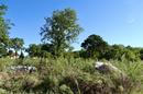 Krk, Njivice, building plot with valid building permit, 519 m², 500 m from the sea - 2