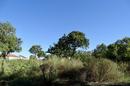 Krk, Njivice, building plot with valid building permit, 519 m², 500 m from the sea - 3