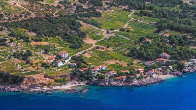 Peljesac, Stankovici, maatalousmaa