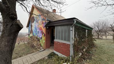 Mandićevac, Vikendica 66 m² s vinogradom, izvrsna investicija