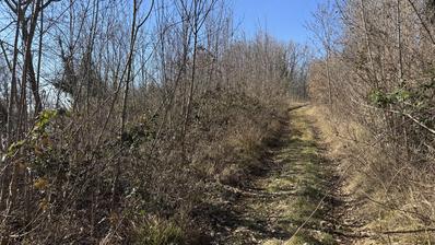 Istra, Karojba - građevinsko zemljište uz cestu 670 m2