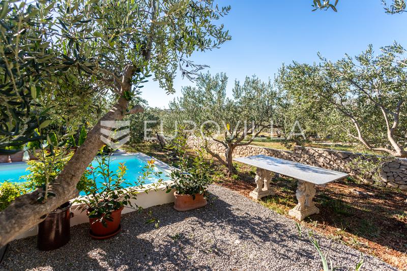 Trogir, Plano, viehättävä vastikään rakennettu yksikerroksinen talo uima-altaalla ja oliivilehdolla, 129 m² - 21