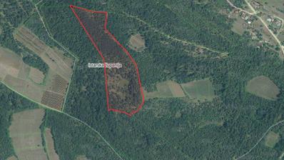 Istra, okolica Višnjana, poljoprivredno zemljište 44600 m² s puno potencijala