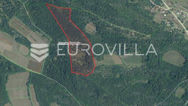 İstirya, Višnjan bölgesi, geliştirme potansiyeli olan büyük tarım arazisi 44600 m²