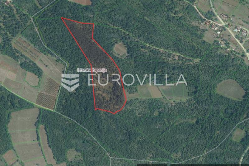Istra, okolica Višnjana, poljoprivredno zemljište 44600 m² s puno potencijala