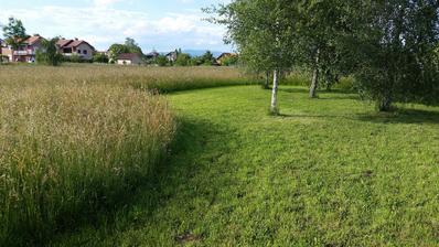 Zagreb, Brezovica, land area 7551 m²