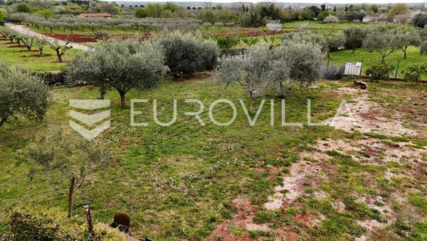 Istra, Umag, atraktivna parcela pravilnog oblika u blizini mora