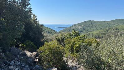 Otok Korčula, Blato, predio Granice, poljoprivredno zemljište sa pogledom na more