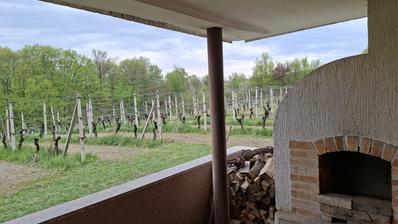 Lekenik, GORNJI VUKOJEVEC, očarljiva koča s konobo in vinogradom, 164 m² in 5000 m² vrta