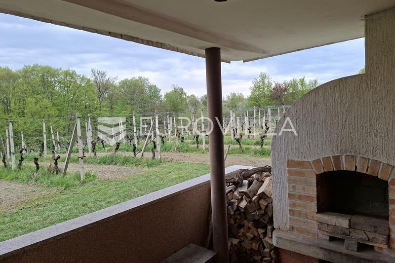 Lekenik, GORNJI VUKOJEVEC, očarljiva koča s konobo in vinogradom, 164 m² in 5000 m² vrta - 9